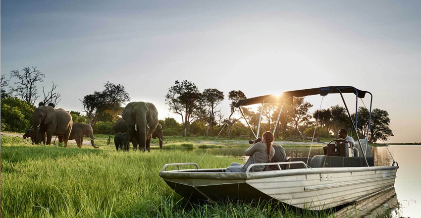 10 Days Tanzania Luxury Safari