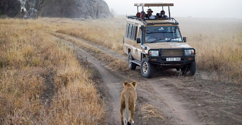 10 Days Tanzania Private Safari