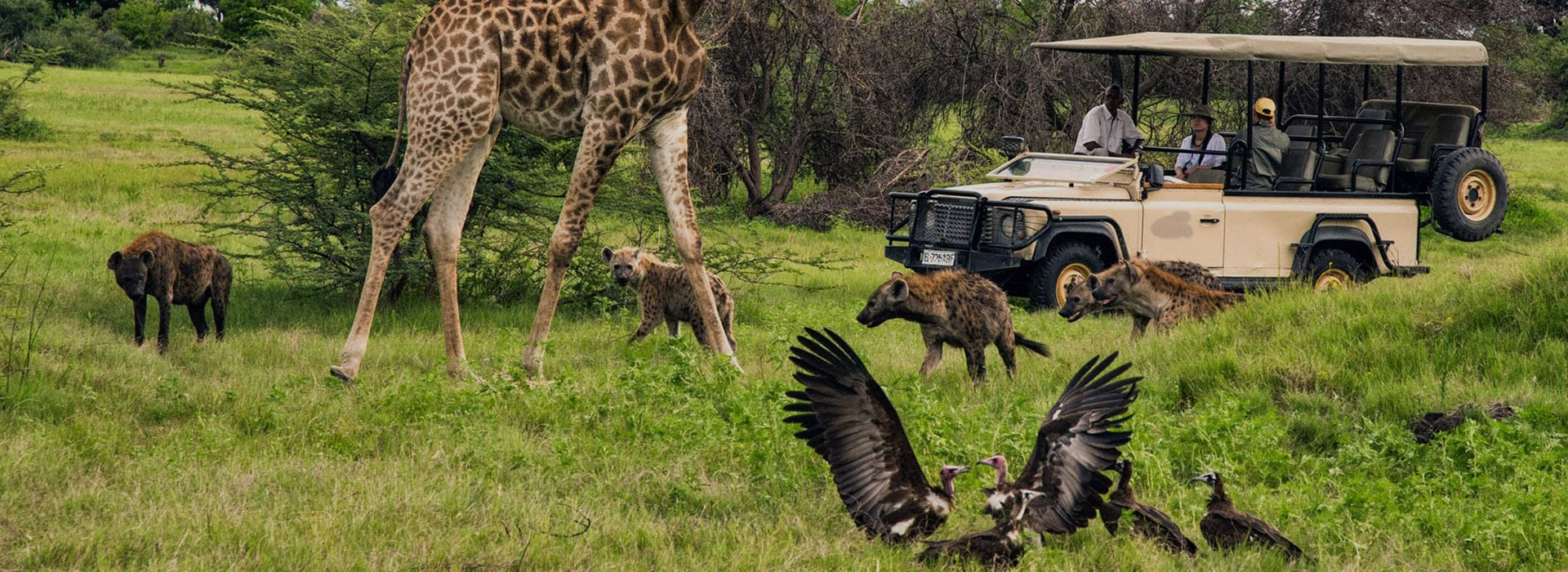 6 Days Tanzania Birding Safari