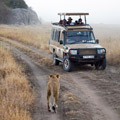 10 Days Tanzania Private Safari