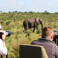 12 Days Tanzania Photographic Safari