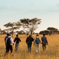 6 Days Tanzania Walking Safari