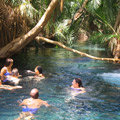 Kikuletwa Hot Springs
