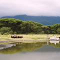 Lake Manyara Day Trip