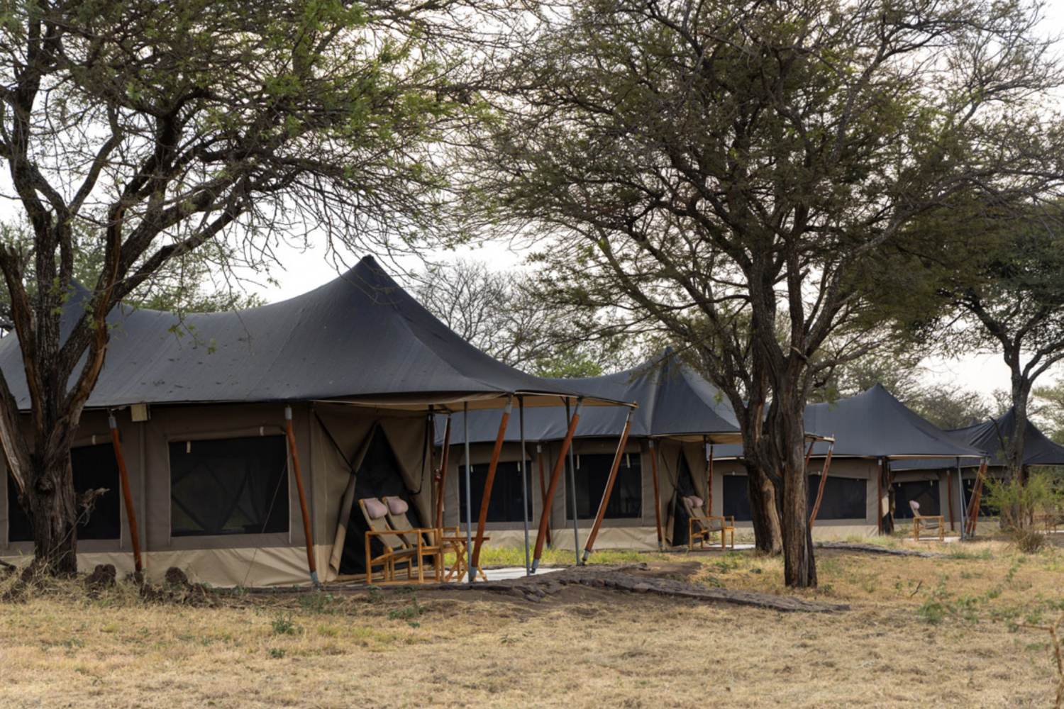 A luxury tented camp lit by lanterns at sunset in the Serengeti