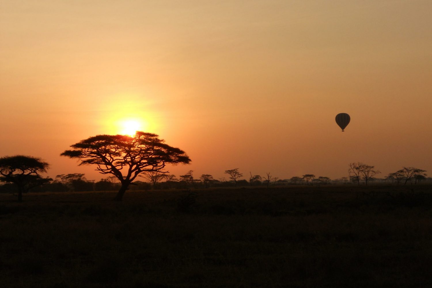 A breathtaking aerial view of the Serengeti plains at sunrise, with golden hues illuminating the landscape.