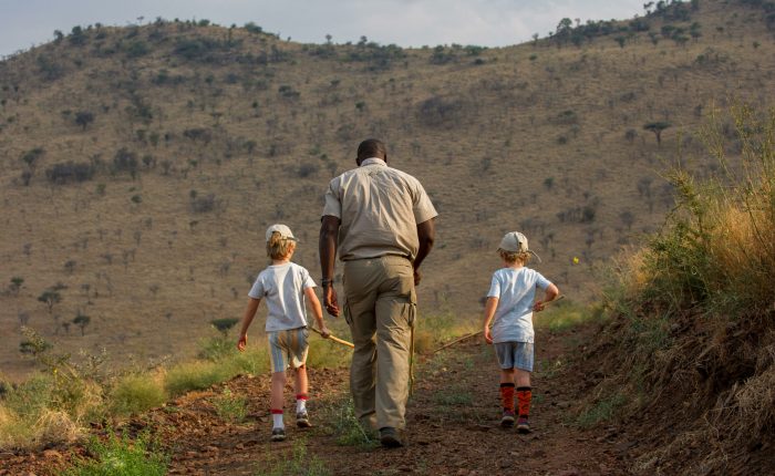 A family enjoying a private safari game drive in Tanzania, spotting elephants in the distance.