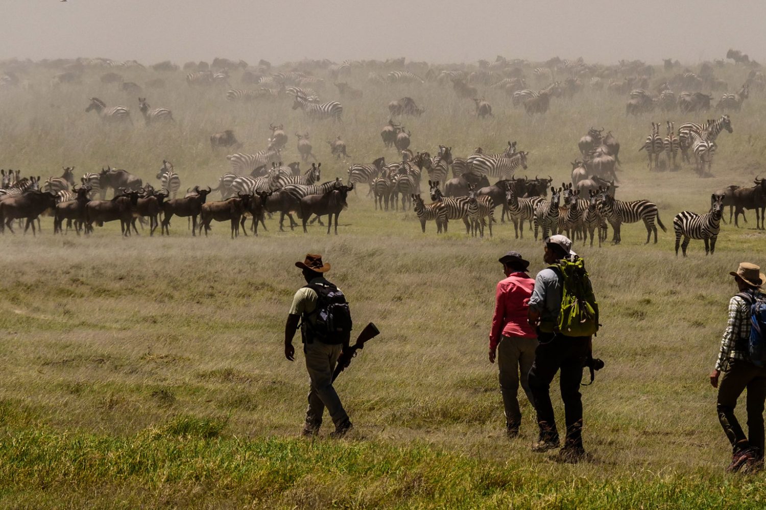 Walking safari in the African bush with a professional guide