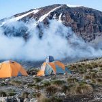 Trekkers climbing through the moorlands on the Machame Route.