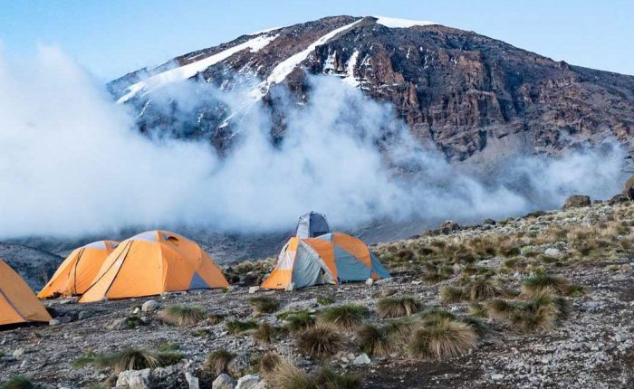 Trekkers climbing through the moorlands on the Machame Route.