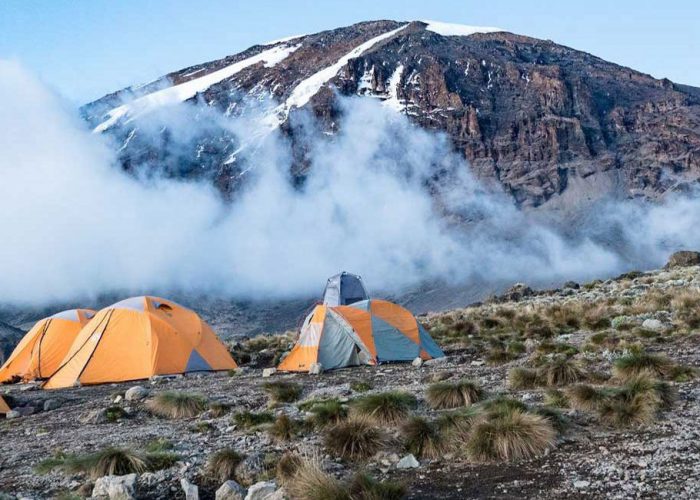Trekkers climbing through the moorlands on the Machame Route.